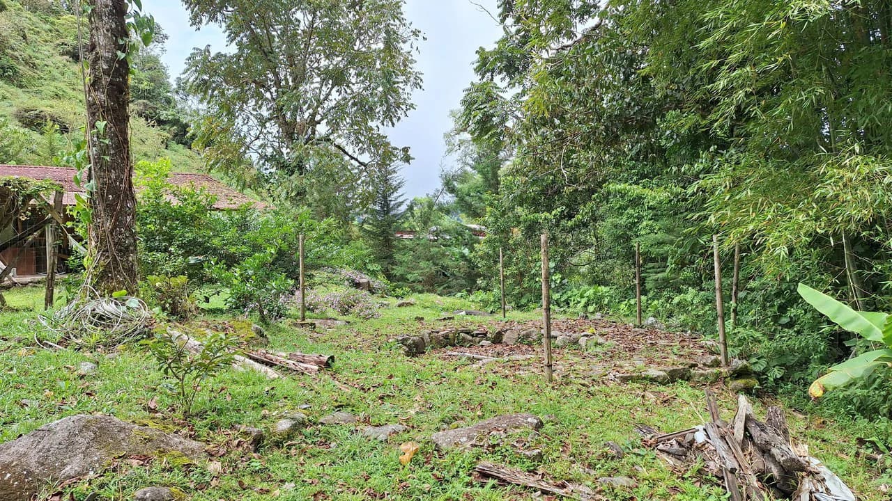 Propiedad en cedral: Mountain Home Construction Site For Sale in Cajón - photo 15