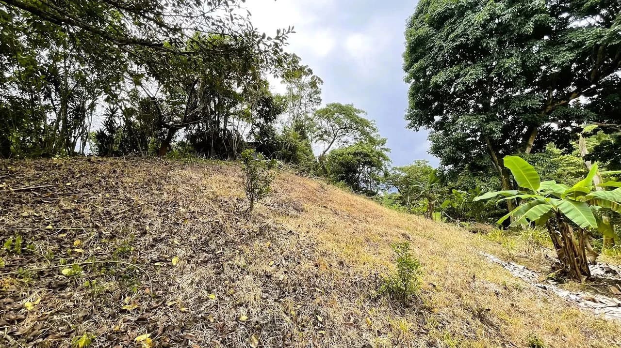 LAND FOR SALE IN SAN MIGUEL, NARANJO - photo 19