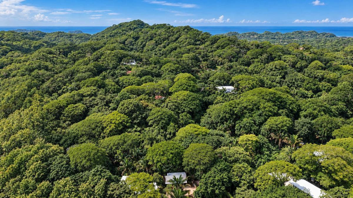 Casa Selva Serena: 3-Bedroom home & Guest Unit | A Rare Tropical Setting Just Minutes from Sámara Beach - photo 32