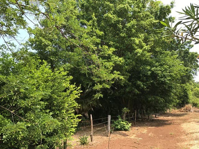 Great property in Santa Cruz: Excellent opportunity to develop in excellent location - photo 7