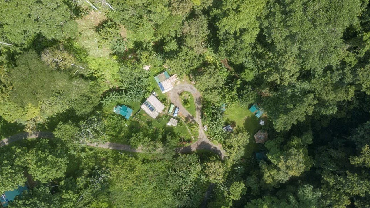 Mountain-Edge Sanctuary with Private Waterfall: 3 Titled Jungle Lots with Platforms, Waterfall, and Income Potential - photo 2