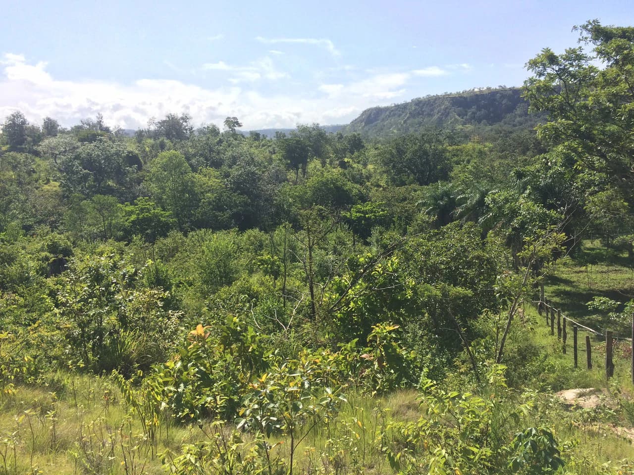 Finca de 31 hectáreas en Liberia: Great investment opportunity - photo 10
