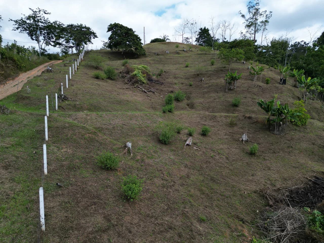 1.35 ACRES – Gorgeous View To The Valley, Mountain And City With A Large Building Site, Two Legal Water Sourses Ready To Build!!!: Mountain and Countryside Home Construction Site For Sale in San Isidr - photo 24