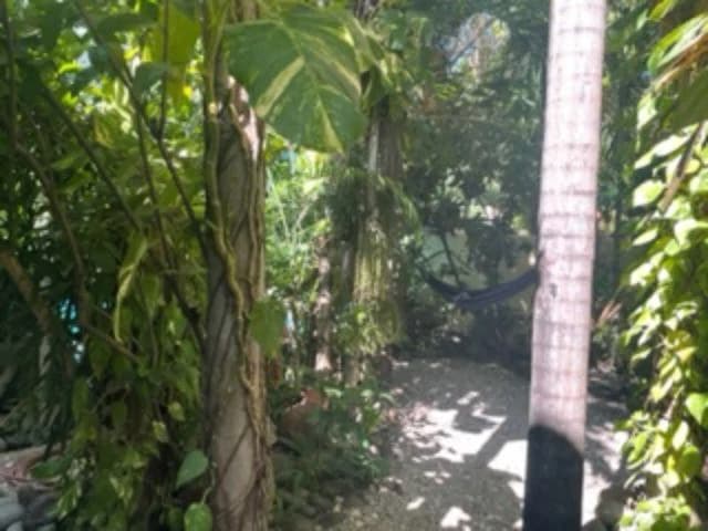 Turn-Key Business Property for sale, beach hotel in Playa Hermosa, Guanacaste, Costa Rica - photo 11