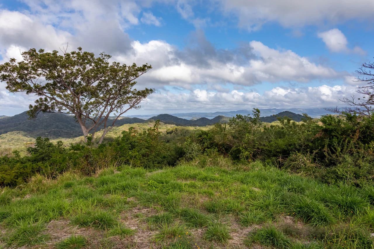 220 Acres Beachside Farm with Ocean View at Playa Junquillal in Guanacaste - photo 19