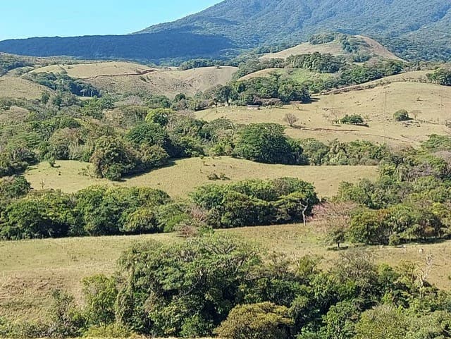 Warm Spring Mountain Property in a tropical landscape and antique wooden house, 50 minutes from Liberia city - photo 30