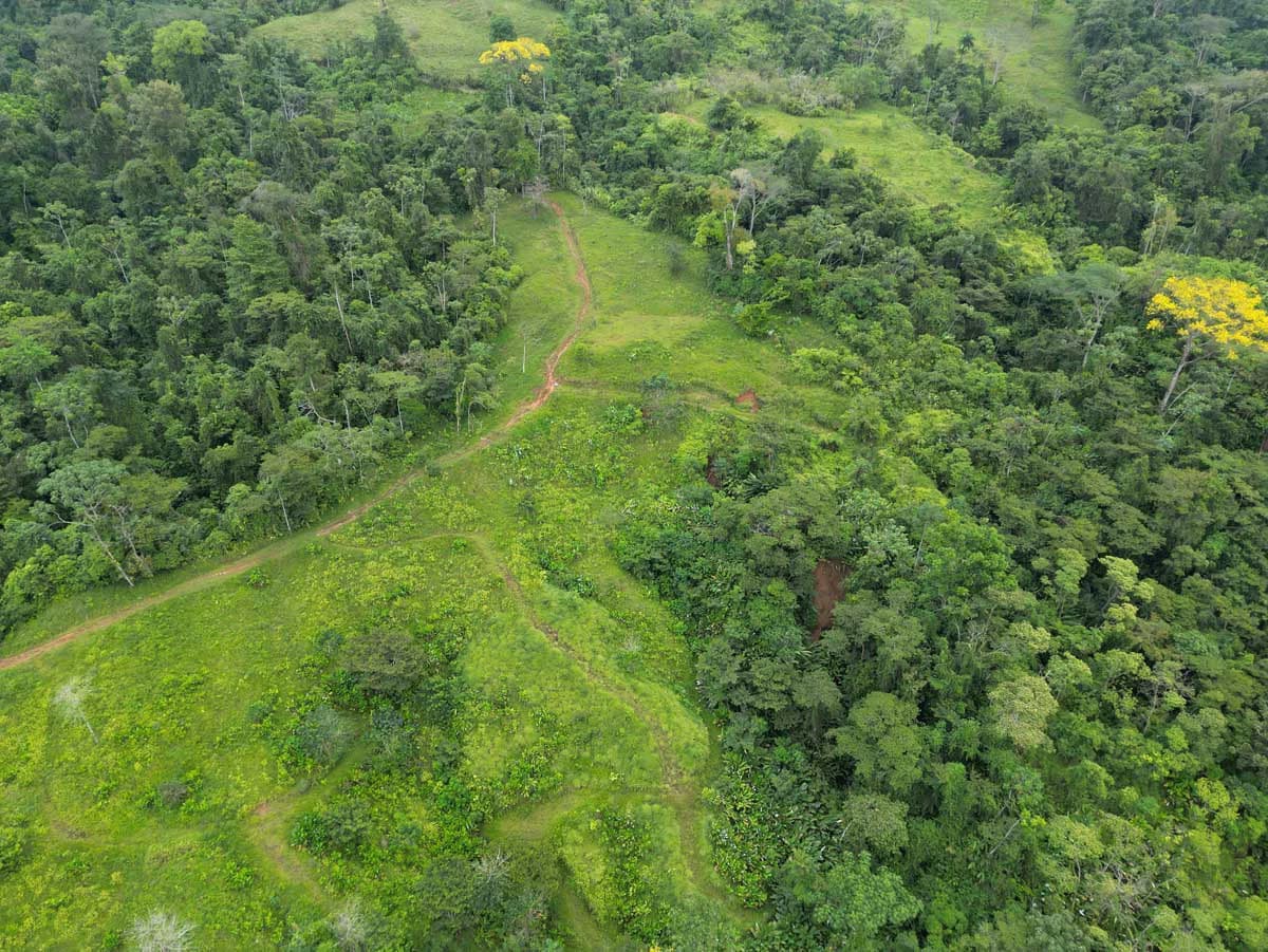 Fire Sale Farm with Ocean View | Piedras Blancas, Osa Peninsula - photo 7