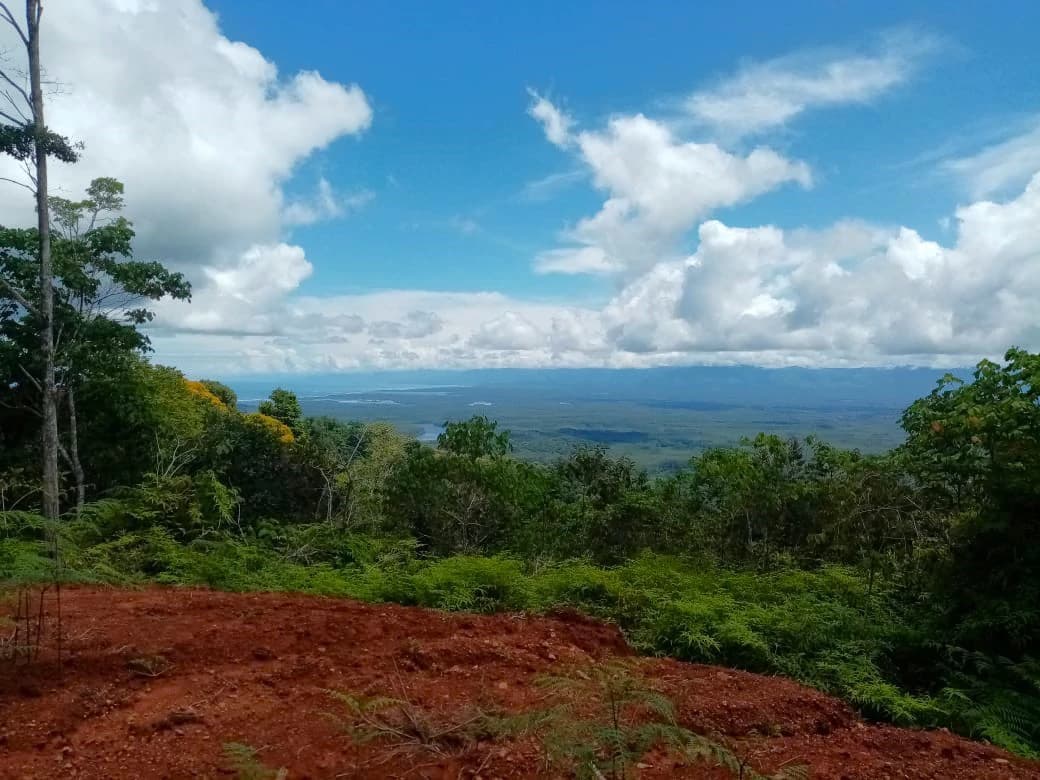 CONSERVATION AND DEVELOPMENT LAND WITH OCEAN VIEW IN SIERPE, COSTA RICA