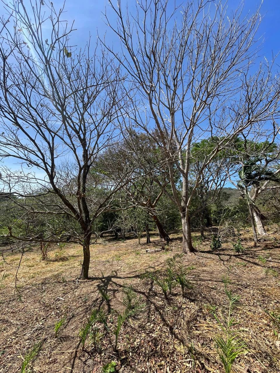 Ocean view property for sale Rodeo Ciudad Colon San Jose Costa Rica - photo 20