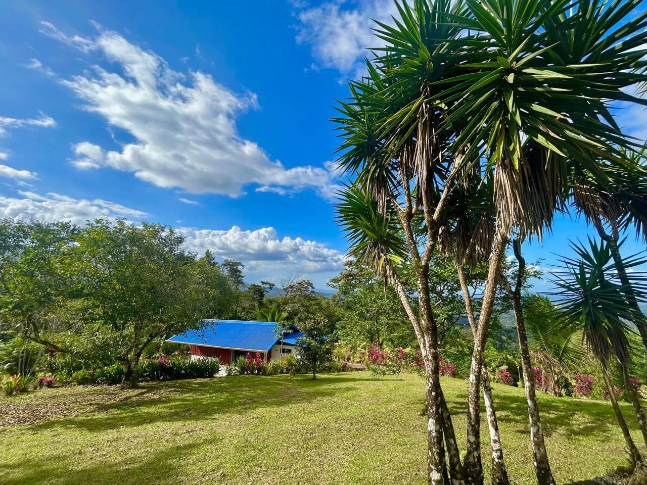 Costa Rica Ecolodge Retreat: TURNKEY COSTA RICA ECOLODGE & WELLNESS RETREAT | 28 ACRES + 5 GUEST CABINS | 45 MINUTES FROM LA FORTUNA - photo 37