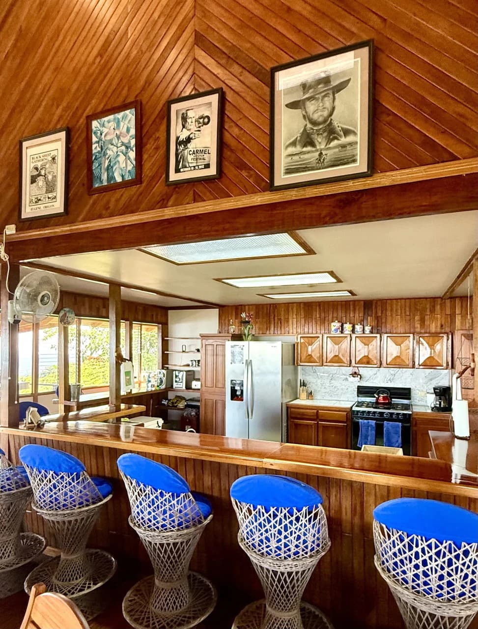 CASA DE LAPAS - OCEAN VIEW: Could you live at the Top of a Mountain in Costa Rica? Because.... now you can! Billion dollar views and LARGE ACREAGE for only $1 Million USD. - photo 24