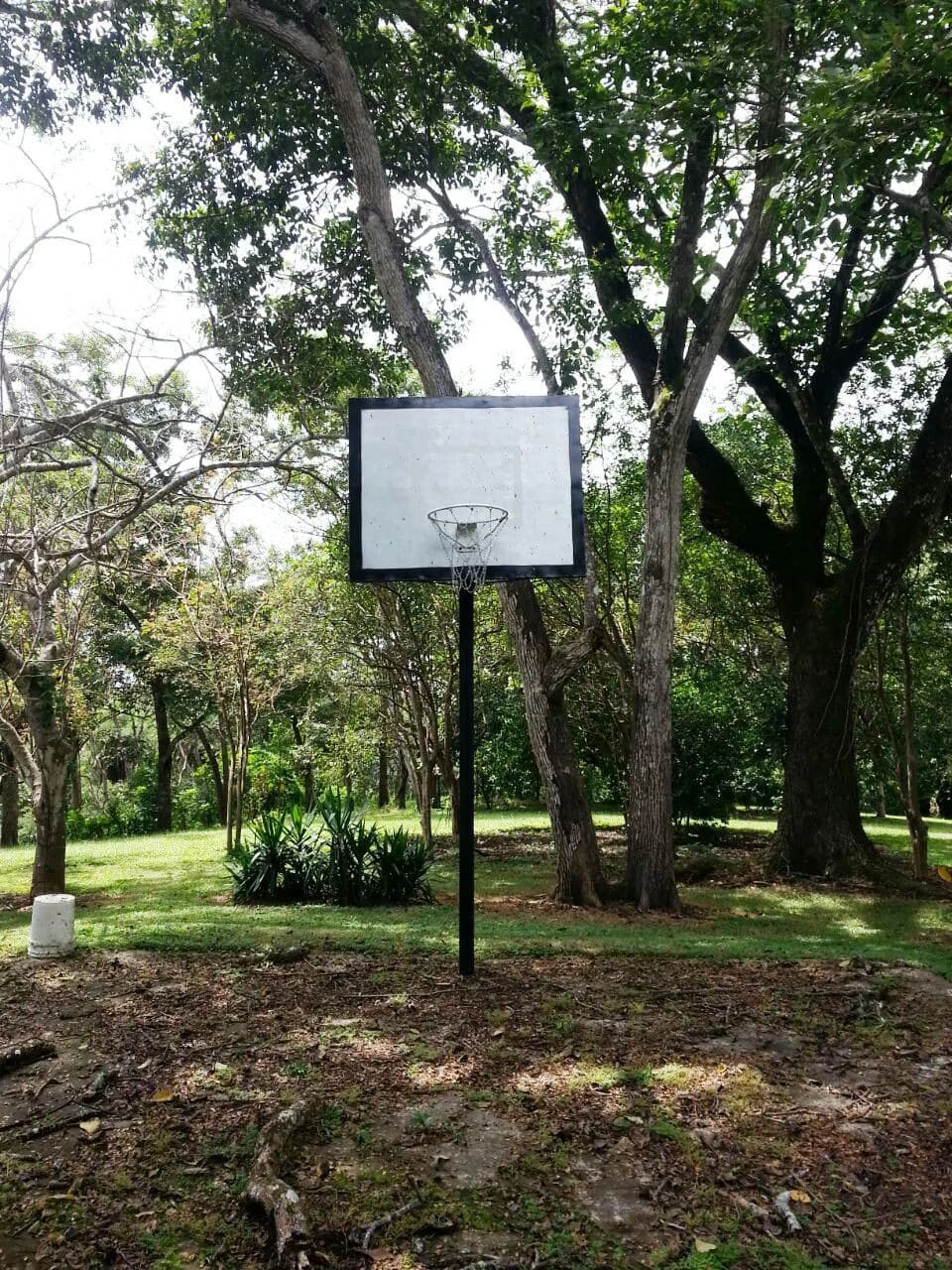 Finca Wellness: Live the Pura Vida Dream – Nature, Privacy & Pacific Beaches - photo 6