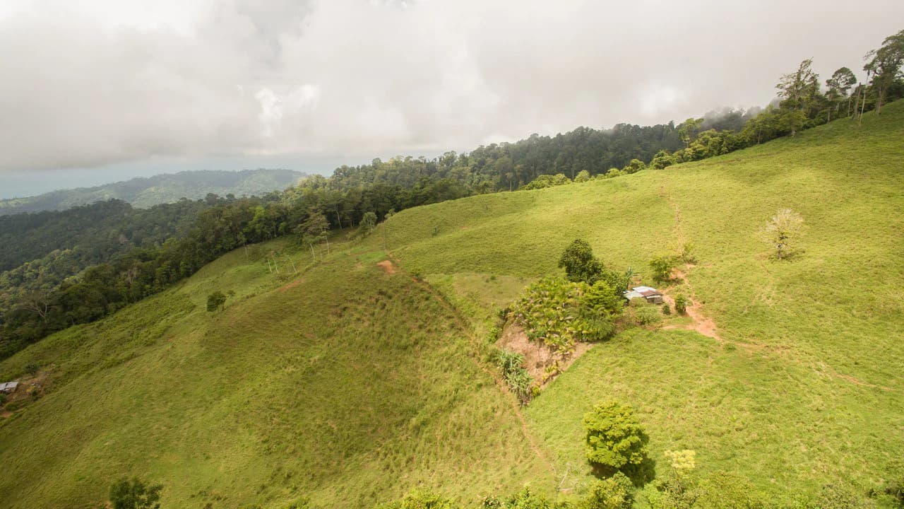 Off Grid 70-Hectare Farm with Stunning Ocean Views and Freshwater Springs - photo 15