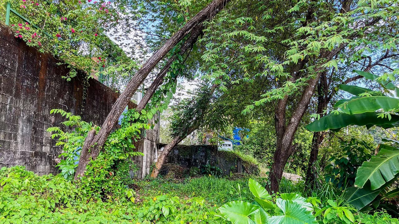 Build Ready Lot in the Heart of Manuel Antonio - photo 7