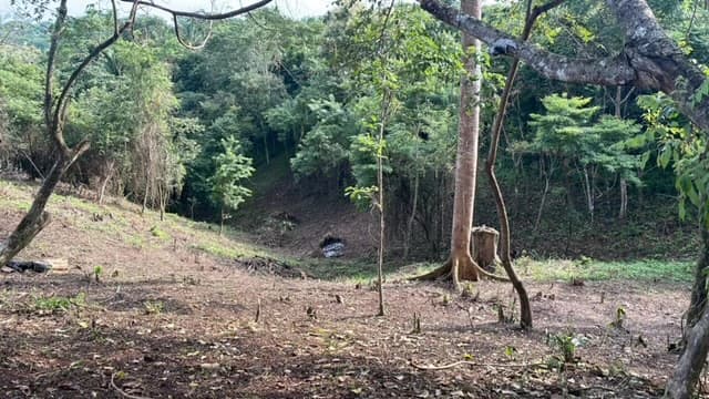 Beautiful Property for Sale in the Mountains of San Juanillo – Prime Land with Building Potential Just 10 Minutes from the Ocean - photo 13