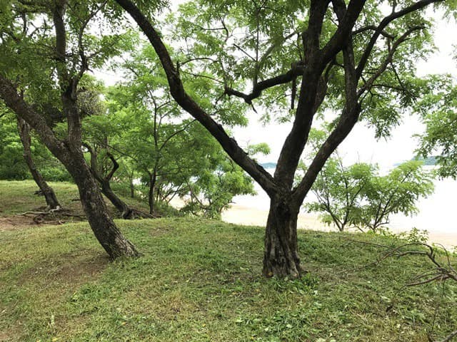 Big property with ocean view - photo 13