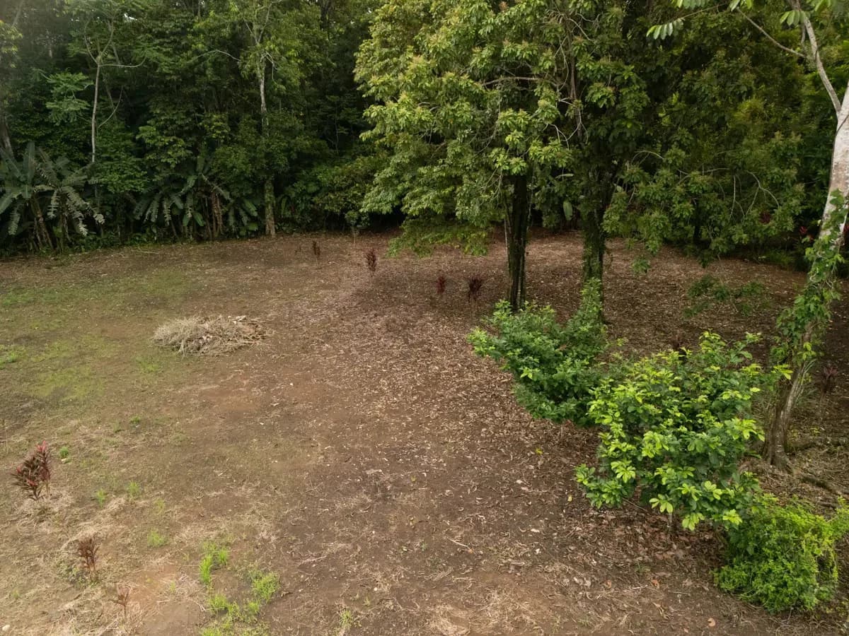 ID 1150: 3000 sqm Titled Land Near Cahuita National Park, Costa Rica - photo 8