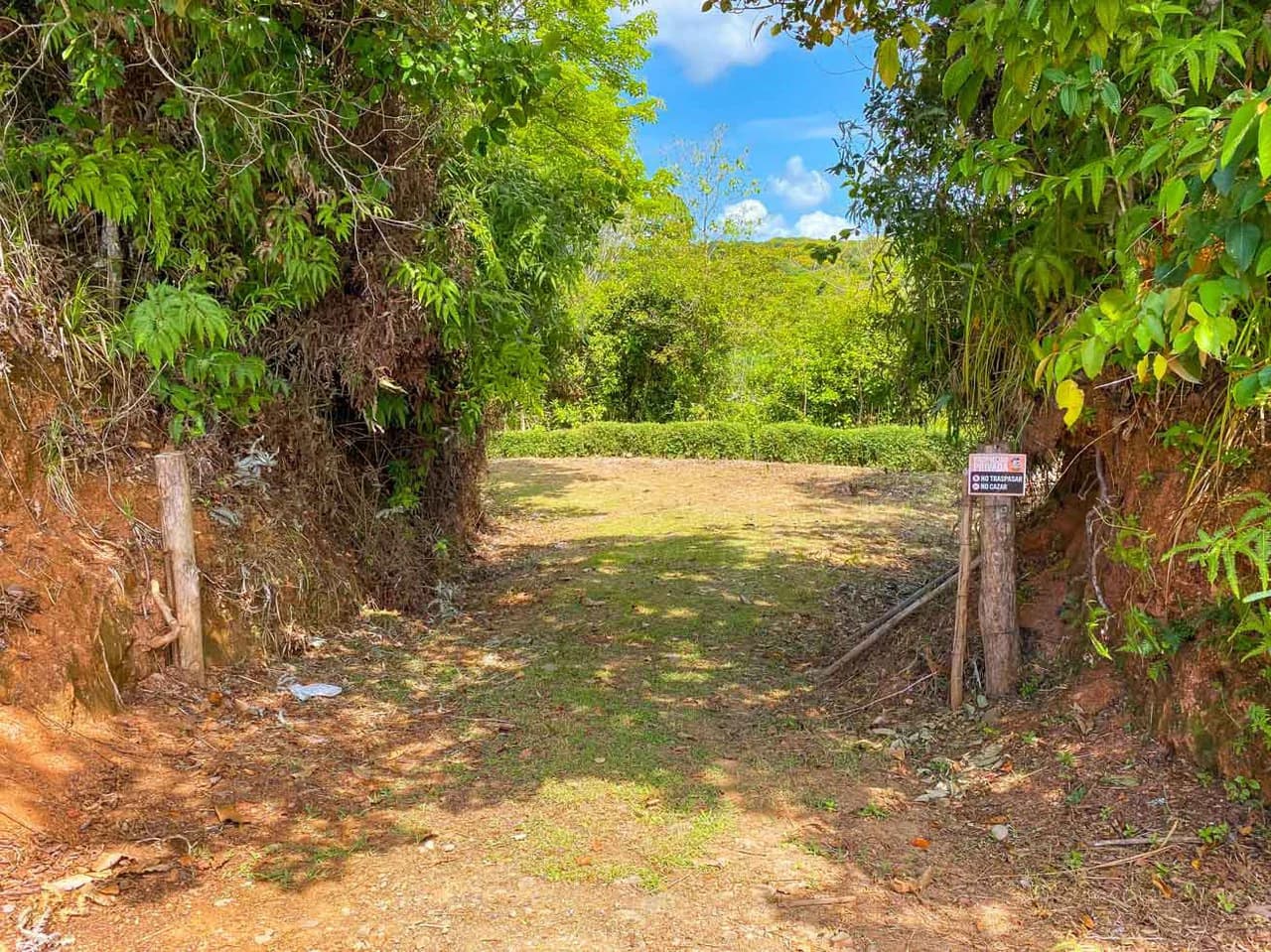 32 Acre Self Sustainable Farm with House Close Ojochal - photo 48