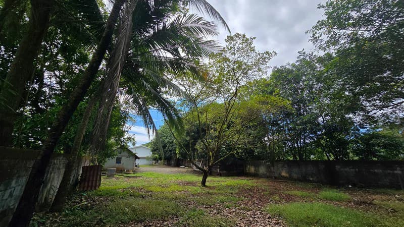 Villa del Mar, one block from the beach in Bejcuo: Fully titled half acre property with 2 level home - photo 77