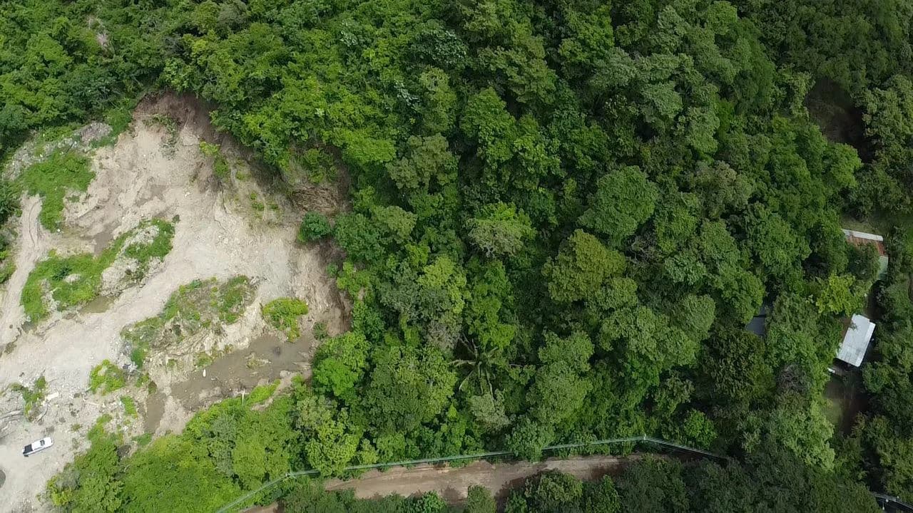Premium Development Property for Sale in Nosara – Excellent Location with Main Road Frontage - photo 7