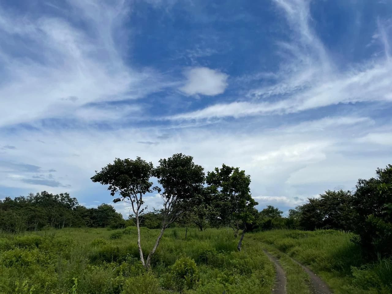Airport Liberia Top commercial location huge property for sale - photo 8