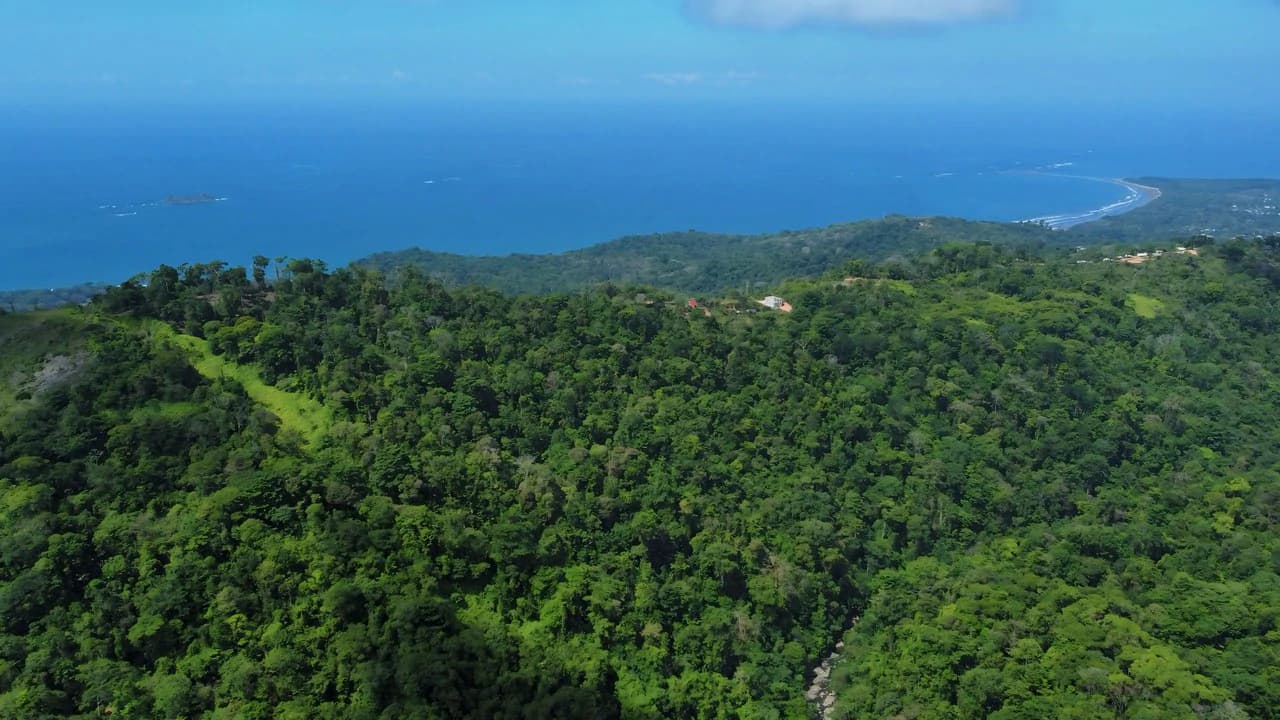 FINCA CERRO DEL TIGRE! OVER 20 ACRES OF PRIMARY FOREST AND WATERFALLS.: Mountain Agricultural Land For Sale in La Unión - photo 12