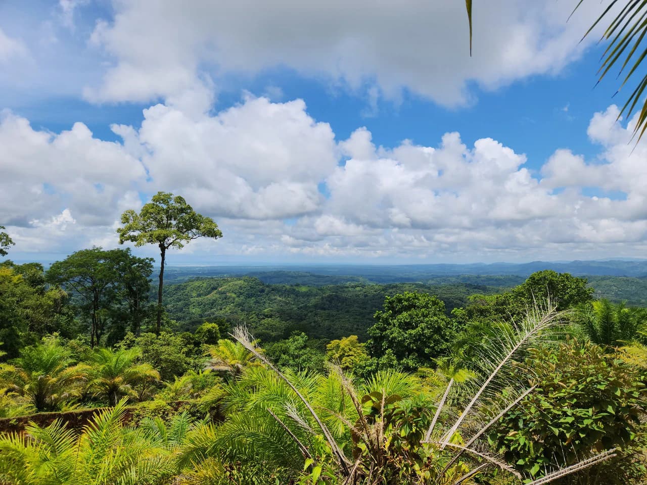 PRIME PARRITA FARM FOR SALE - photo 32