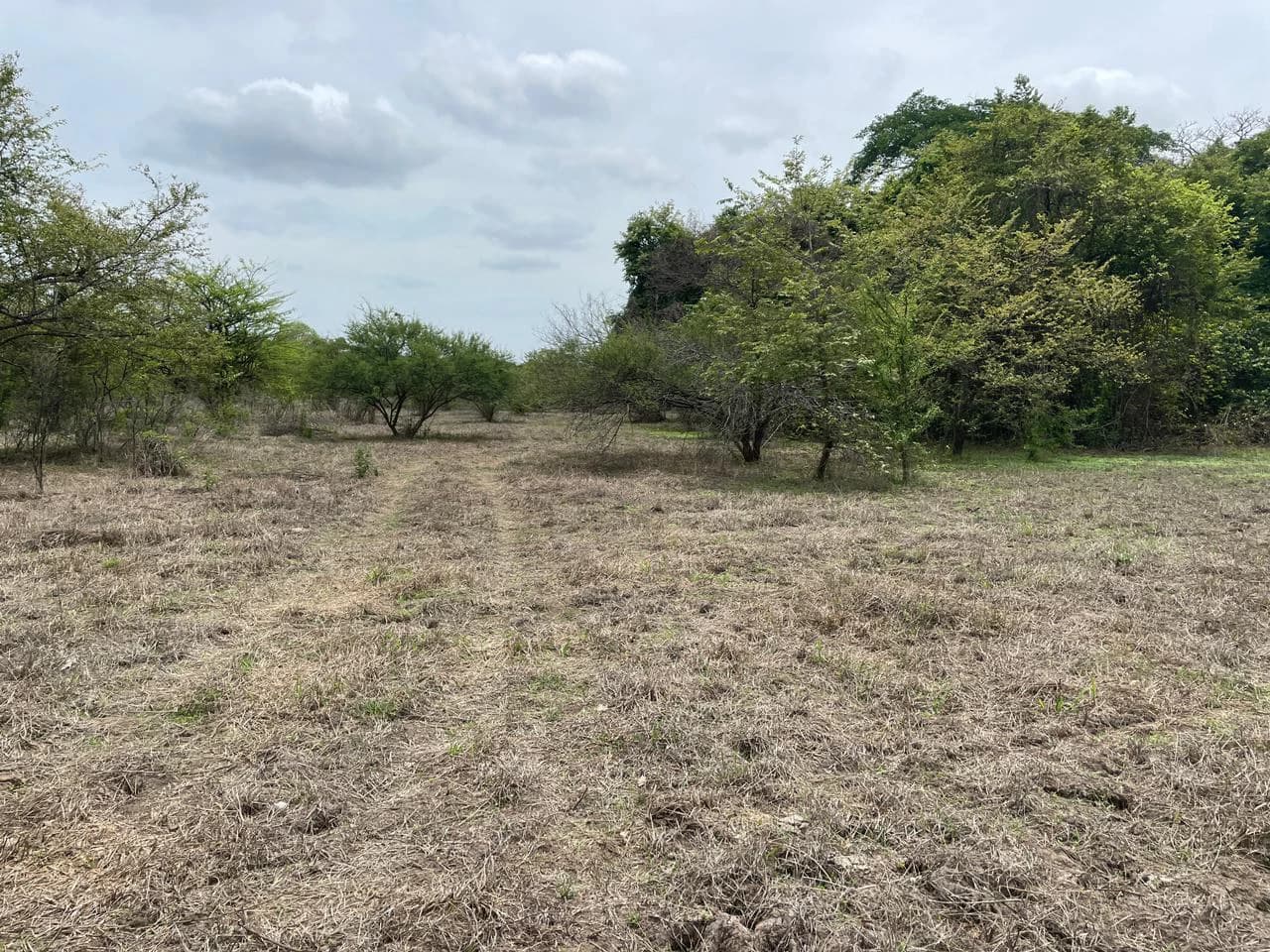 BEST PRICE! For sale comercial Property for warehouses or free zone, 1 km from Liberia Airport, Guanacaste, CR - photo 10