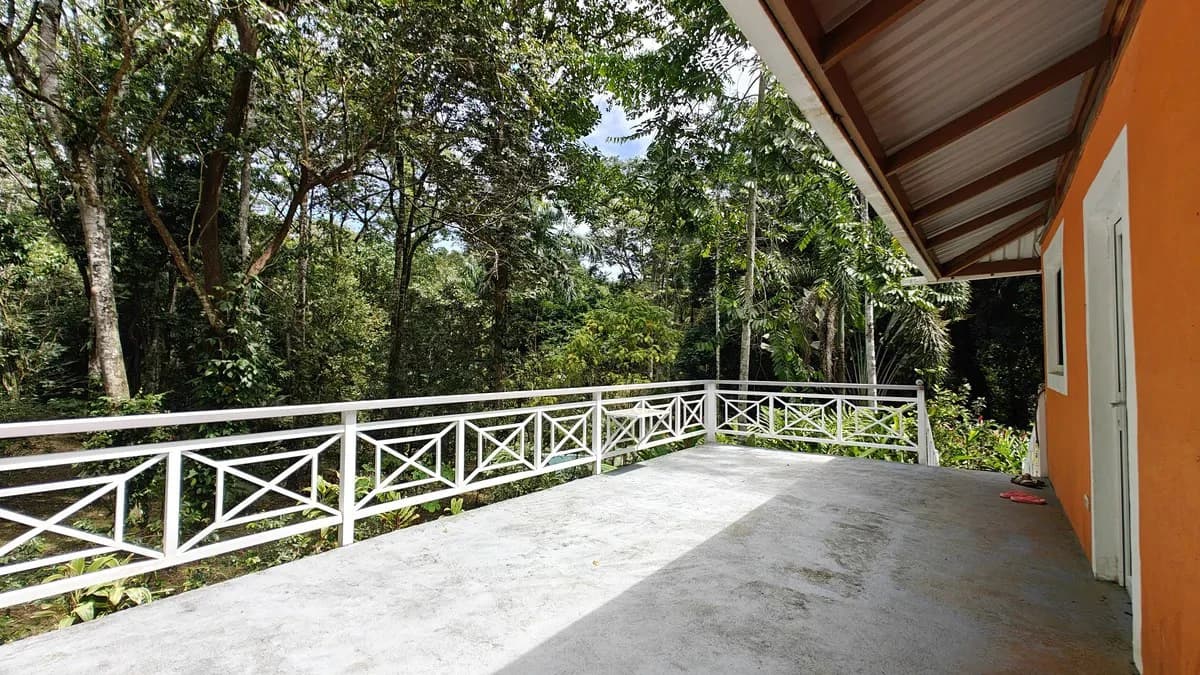 ID 1055: Elevated Jungle Residence on Expansive Riverfront Jungle Land - photo 8