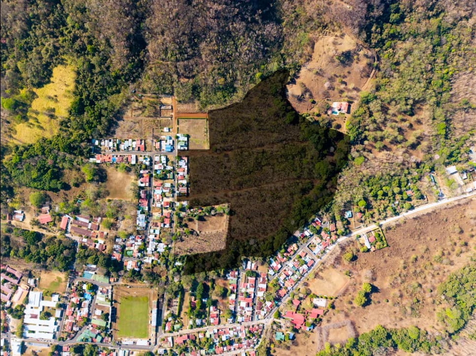 Discover Your Dream Farm on 4.2 Hectares in Costa Rica - photo 13