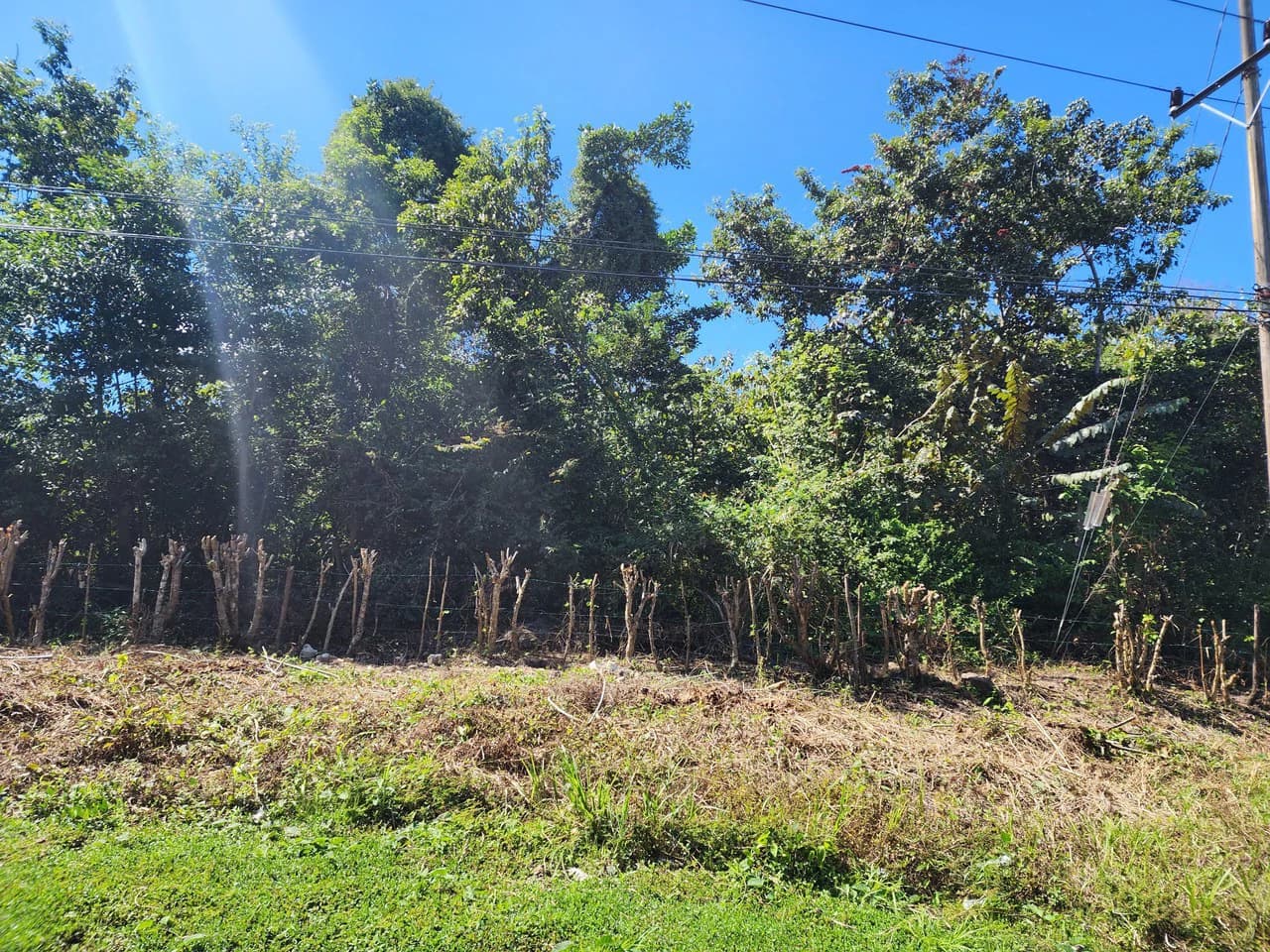 Near the Coast and Countryside Development Parcel For Sale in Coyolar - photo 8