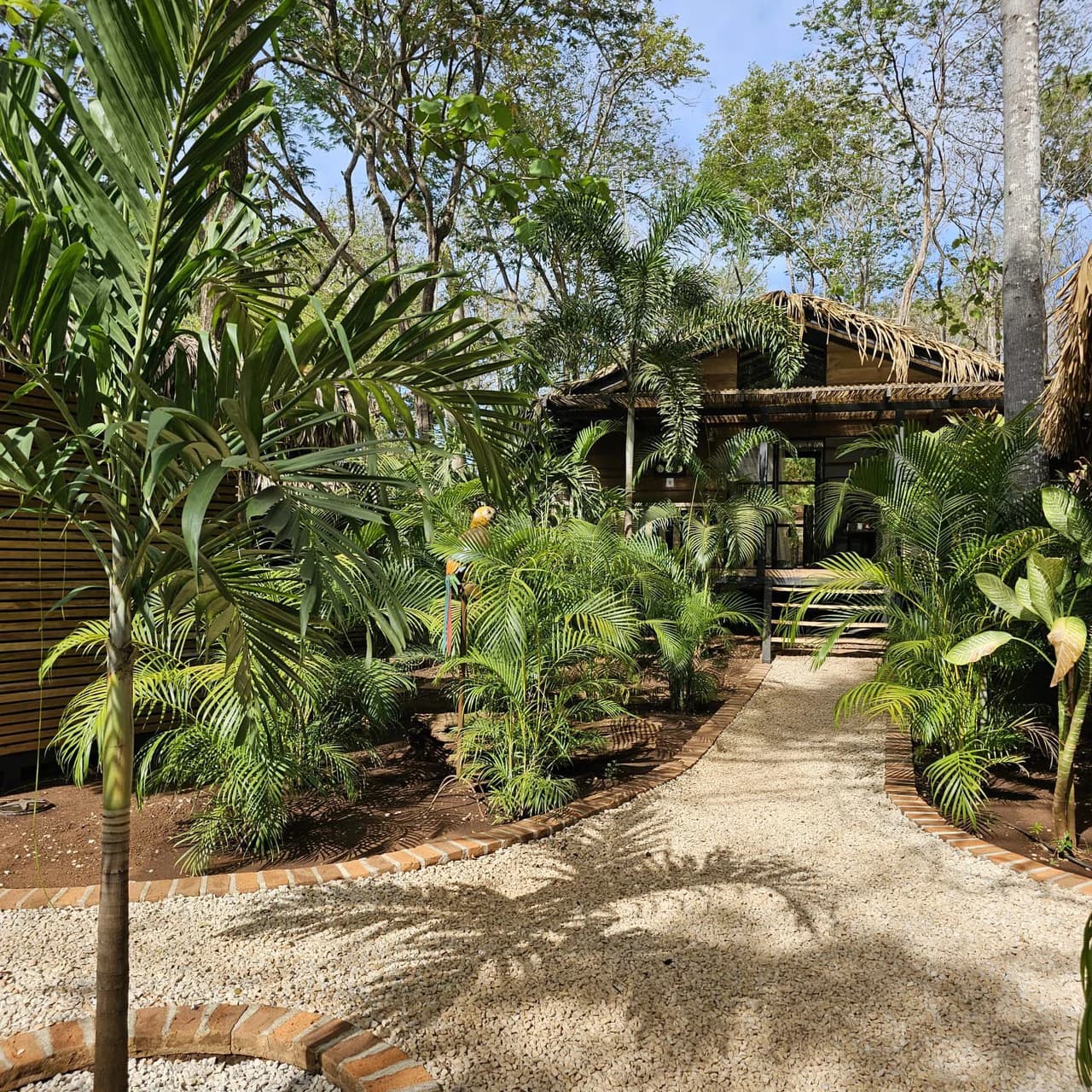 Successful Wellness and Spa with restaurant: One Of A Kind, Successful Wellness, Spa And Restaurant Oasis Close To Tamarindo - photo 48