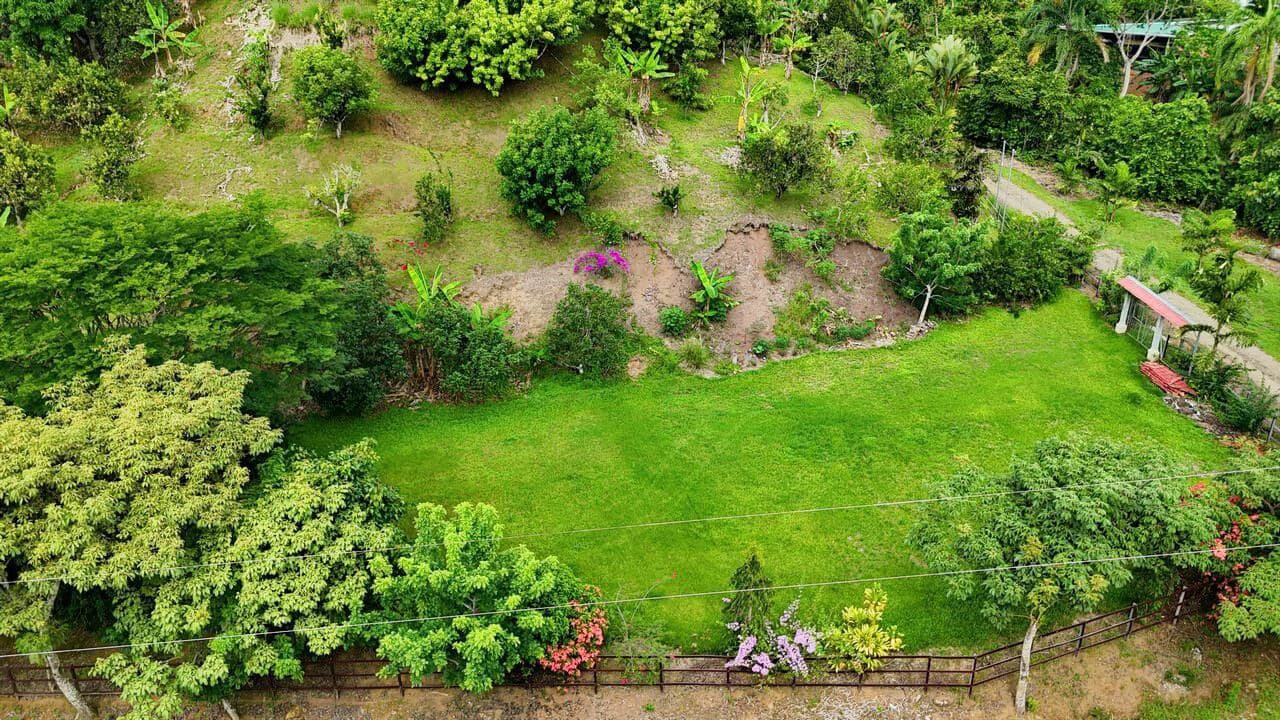 Charming Hardwood Cabin with Fruit Garden Near San Isidro - photo 50