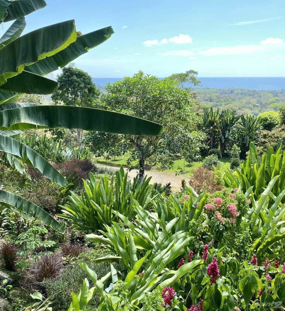 Casa Thai: Ocean View Villa in Uvita with Proven Airbnb Income and Luxury Tropical Living - photo 49