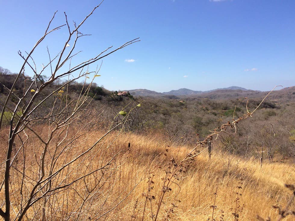 Ocean view property in the area of Guanacaste, great commercial opportunity near the Hotel Riu - photo 10
