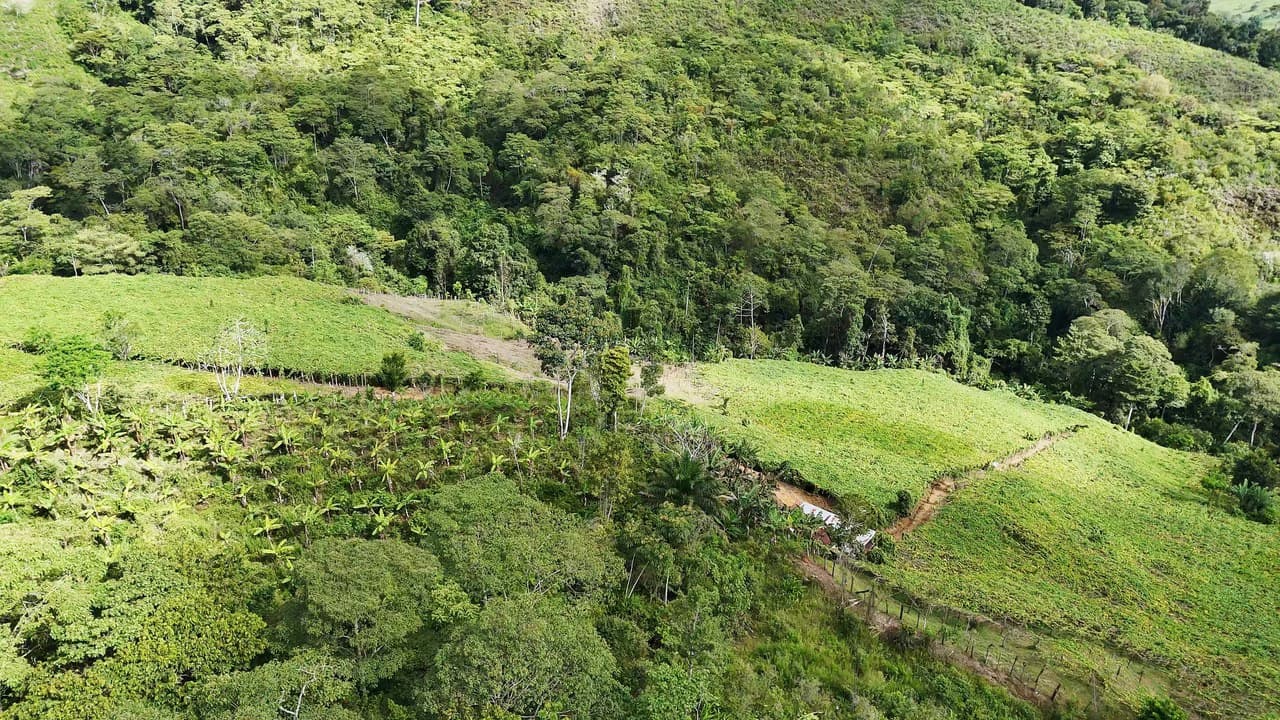 Mountain Agricultural Land For Sale in San Isidro del General - photo 16