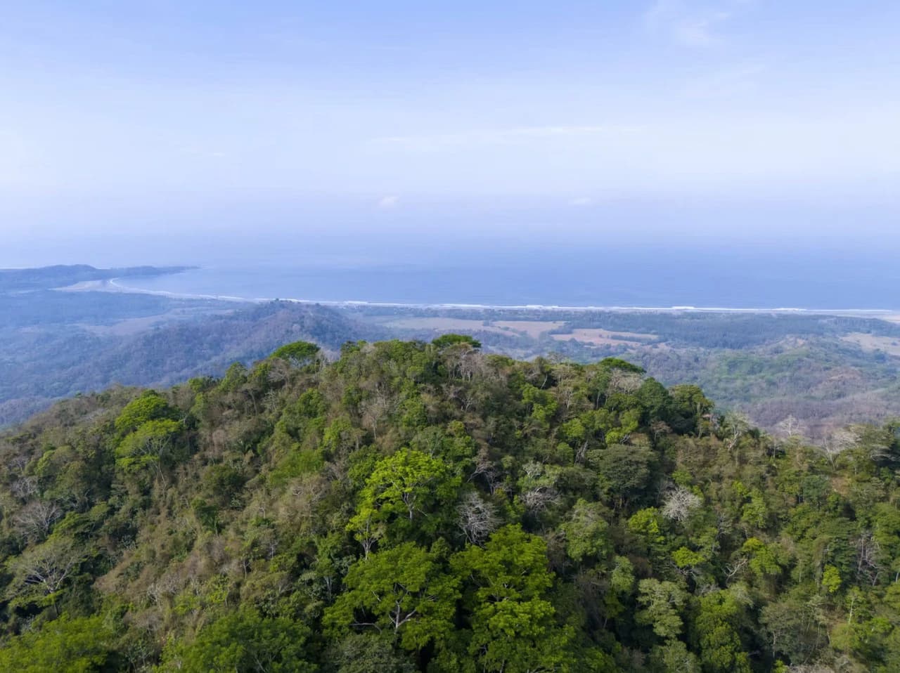 Ocean view farm for sale Costa Rica San Miguel Beach Costa de Oro - photo 11