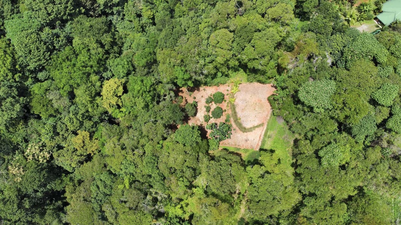 HALF ACRE LOT IN PLATANILLO, MINUTES TO THE BEACH OF DOMINICAL - photo 3