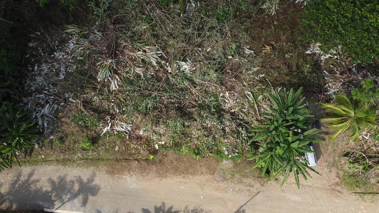 Ojochal - 1 Acre Ready To Build Jungle Lot, Ocean Breezes in Wildlife Corridore - photo 7