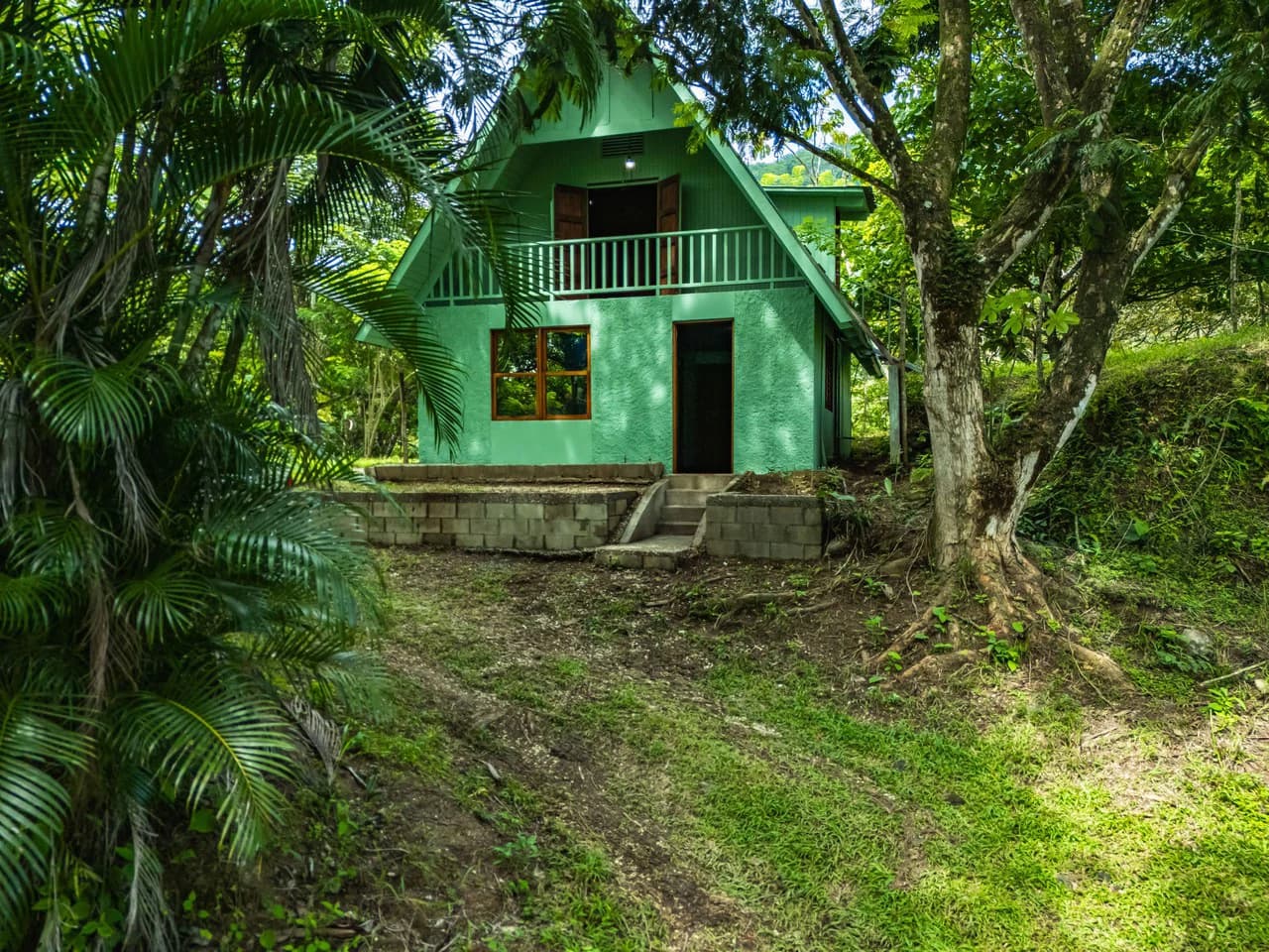 Casa Verde: Your Green Dream - photo 4