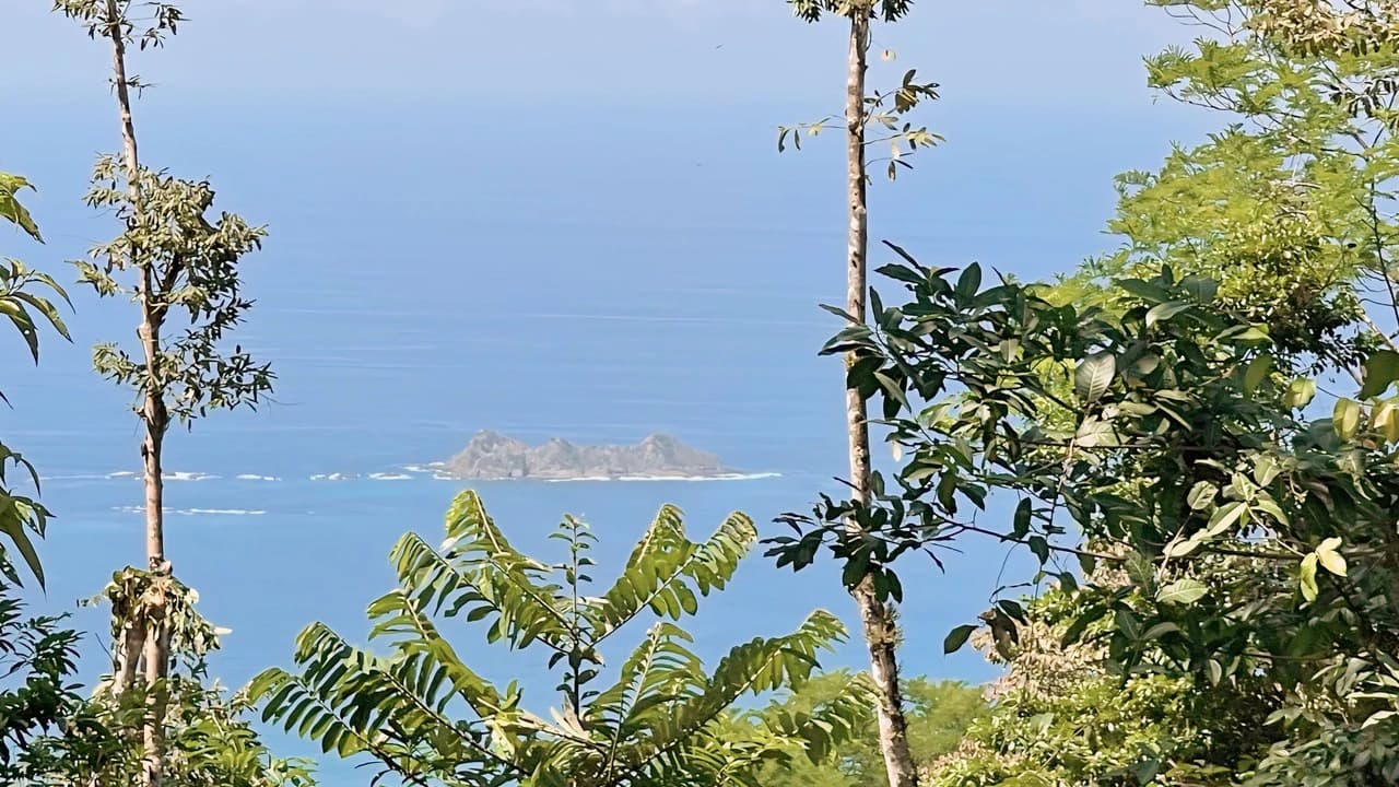 FINCA CERRO DEL TIGRE! OVER 20 ACRES OF PRIMARY FOREST AND WATERFALLS.: Mountain Agricultural Land For Sale in La Unión - photo 18