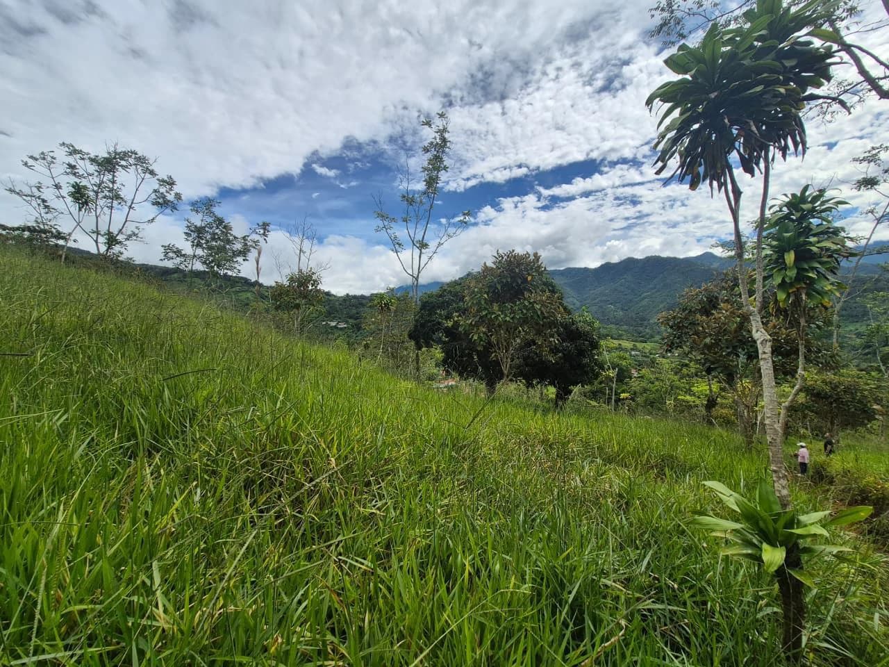 Se vende 6acres en San Antonio de Rivas, Pérez Zeledón: Countryside Home Construction Site For Sale in San Isidro del General - photo 15