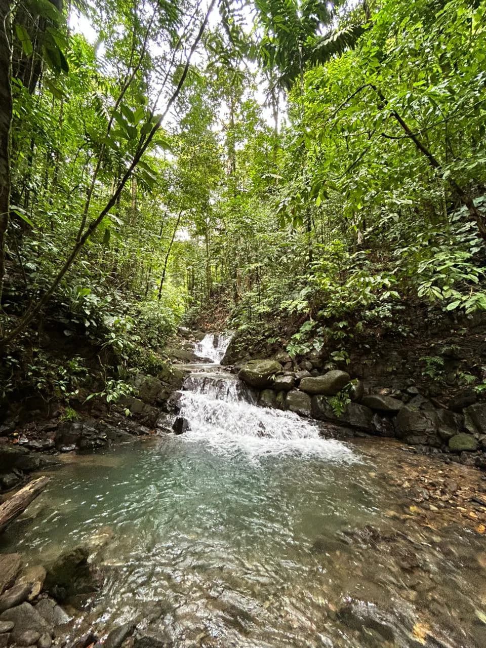 Finca Las Cataratas in Ballena: Mountain Home Construction Site For Sale in Bahía Ballena - photo 25
