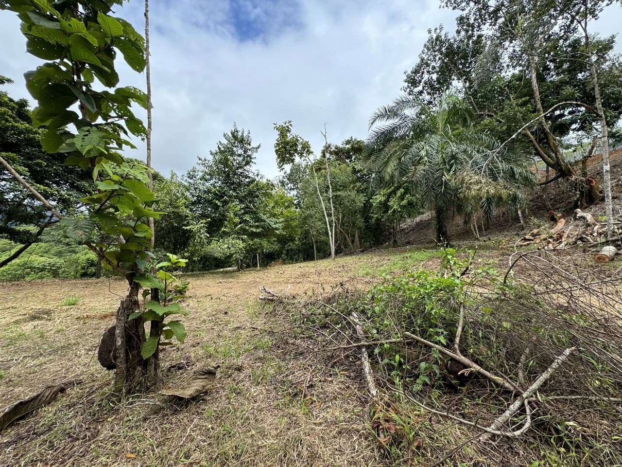 Diamante Waterfall View Land in Dominical 2.9 Acres - photo 30