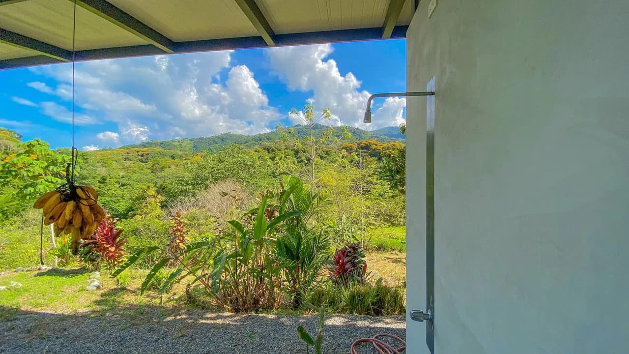 32 Acre Self Sustainable Farm with House Close Ojochal - photo 30