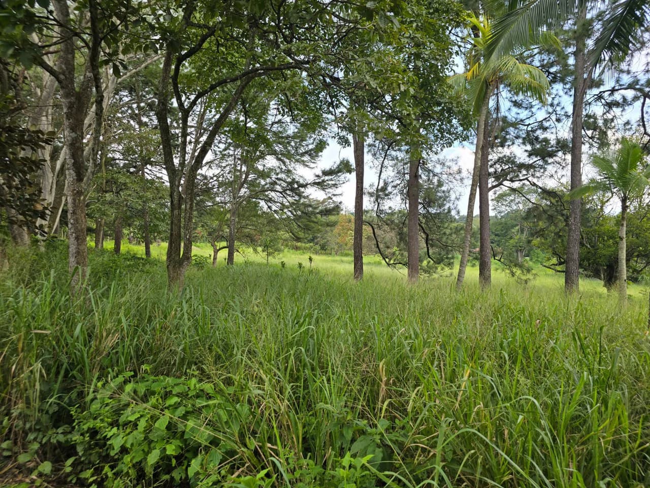 Land for sale in Residencial Montisel - photo 4