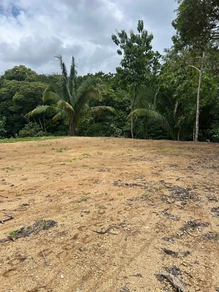River Frontage Lot For Sale in Costa Rica Residential & Commercial Zoning - photo 16