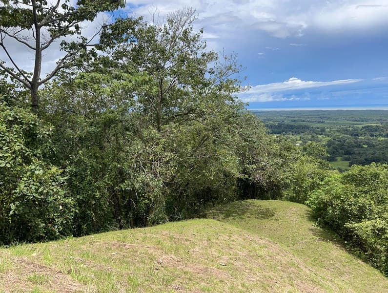 Panoramic 180 Degree Ocean View Lot Ready To Build Close To Ojochal - photo 21
