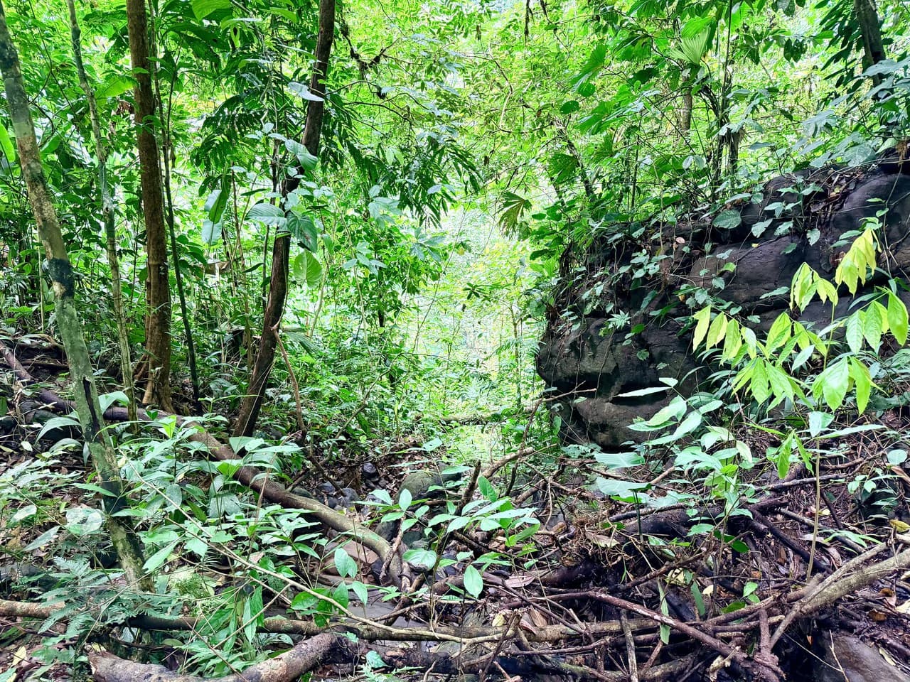 Uvita Development Farm - 40.47 Acres Estate - photo 19