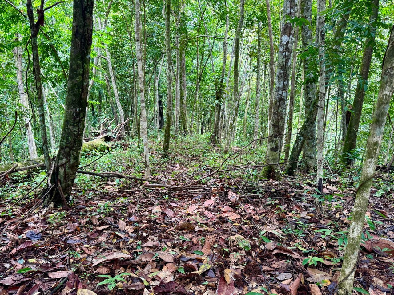 1.65 ACRES – Amazing Sunset Ocean View Property With Huge Building Area, Great Access, Perfect For a Hotel Or Estate!!! - photo 8